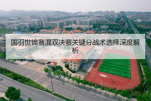 国羽世锦赛混双决赛关键分战术选择深度解析